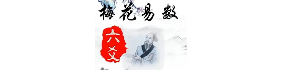 梅花五瓣开《梅花六爻》课程